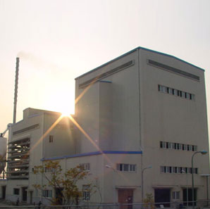 Sludge drying and incineration